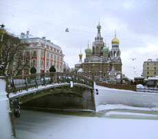 Корь не покинет Петербург минимум до мая